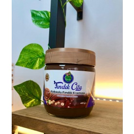 FINDIK CİTY 400 GR Kakaolu Fındık Kreması 